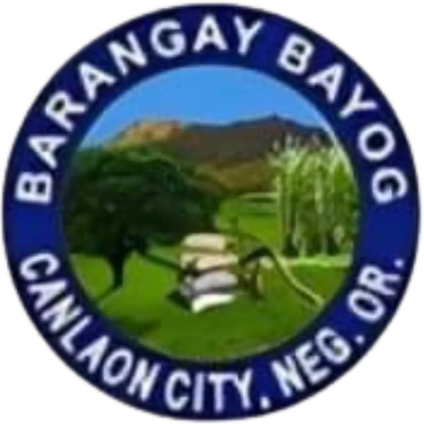 bayog